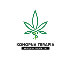 Projekt bez nazwy (1) - Wojciech Wierciński