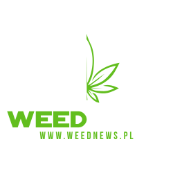 www.weednews.pl